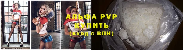 прущие грибы Абаза