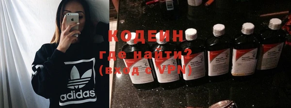 прущие грибы Абаза