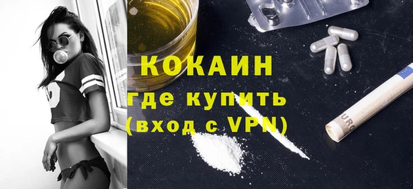 прущие грибы Абаза