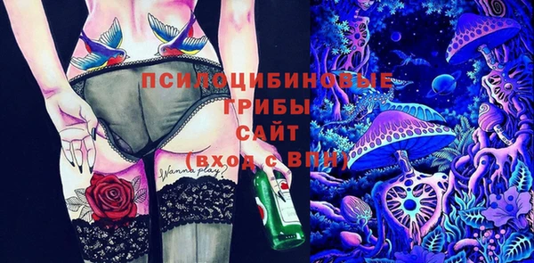 прущие грибы Абаза